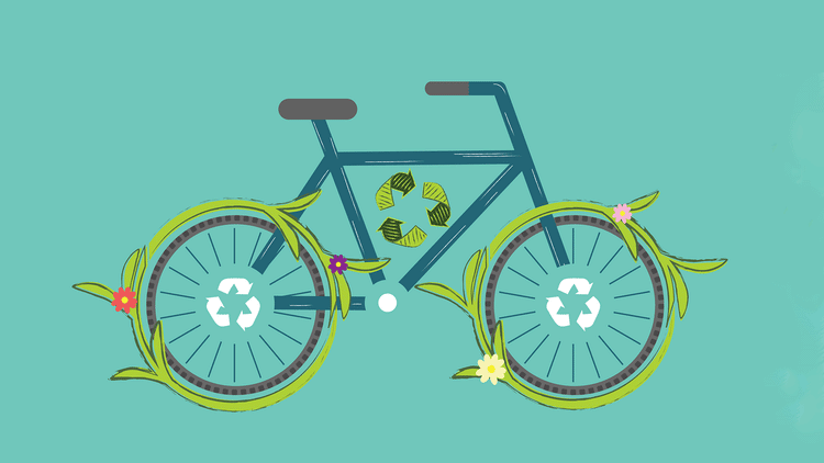Renewed Bikes