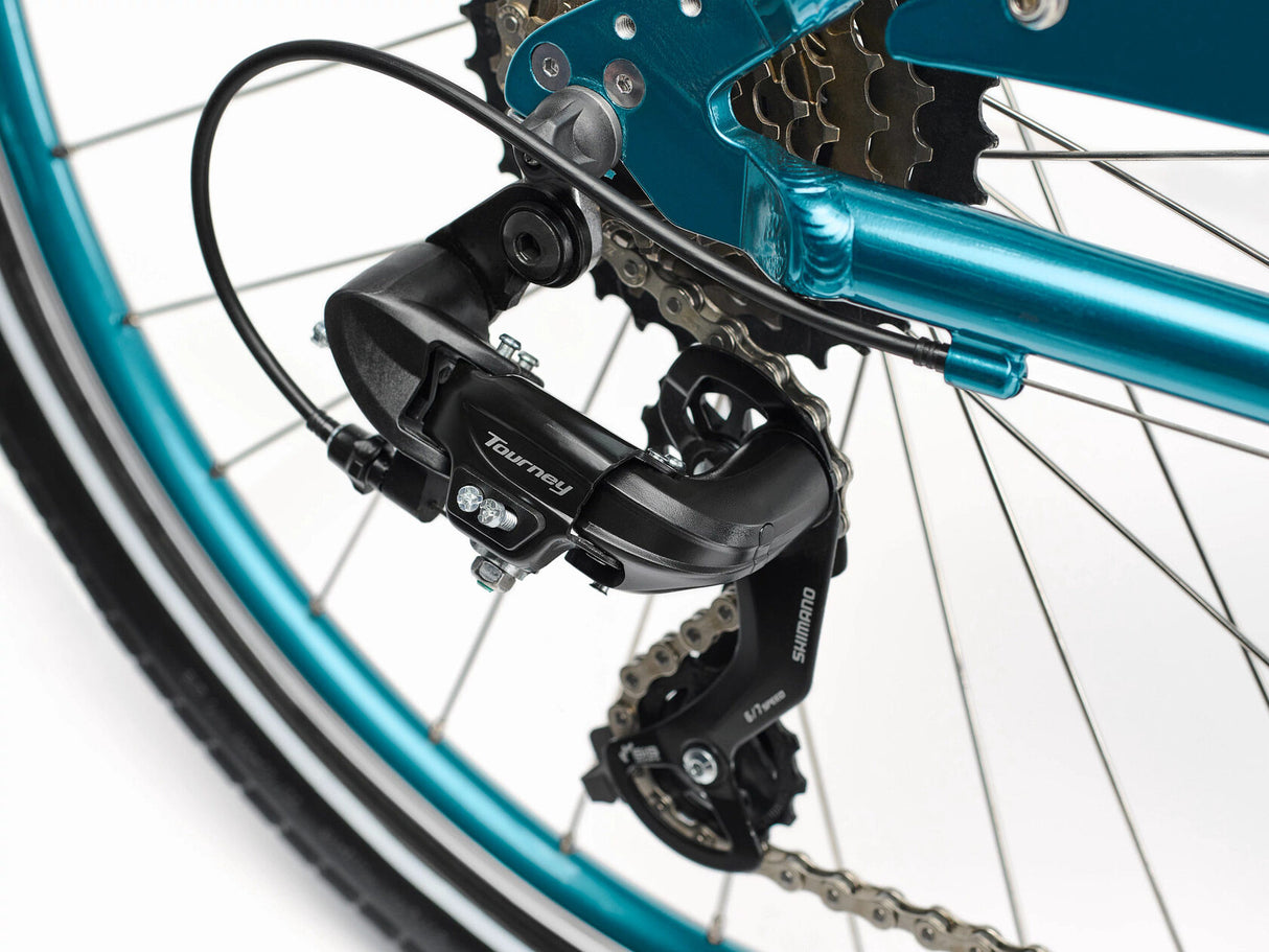 Close-up of a bicycle gear system with a blue frame