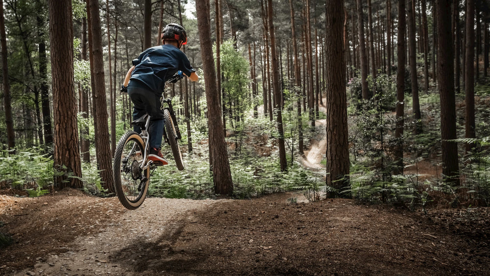 Child riding a bicycle in a forest