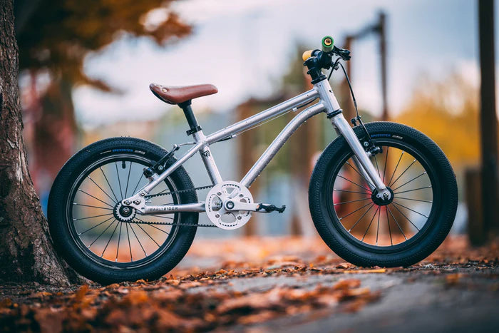 Early Rider Belter 16" Kids Bike