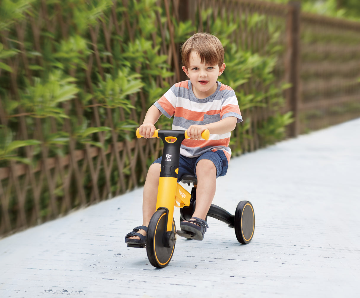 Hape Transforming Rider Bike