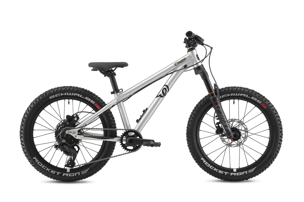 Early Rider Charger 20" Kids Bike in Brushed