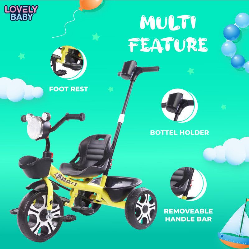 Lovely Baby Push Handle Trike for Kids