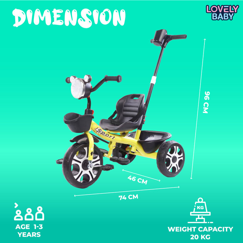 Lovely Baby Push Handle Trike for Kids