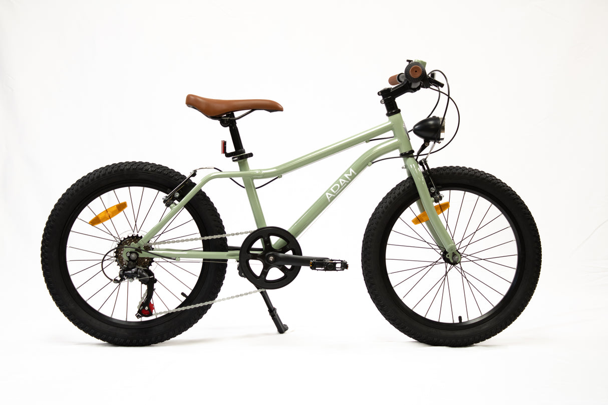 Children's bicycle with a light green frame and black wheels on a white background