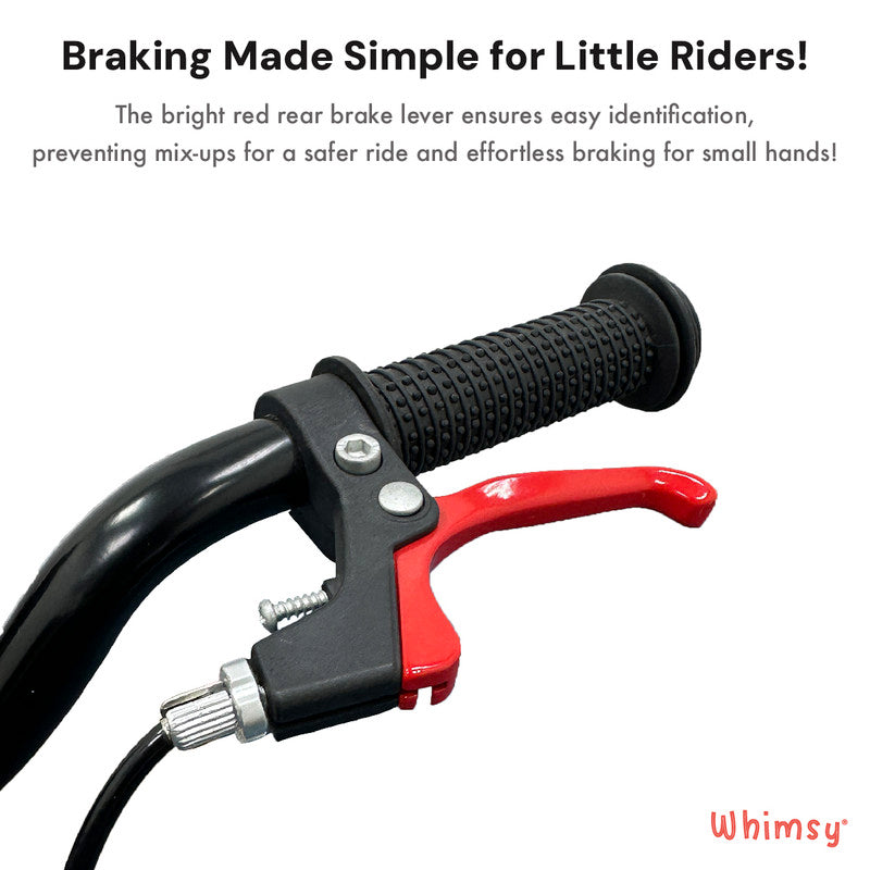 Whimsy - Pro Aluminum 20" Kids Bike