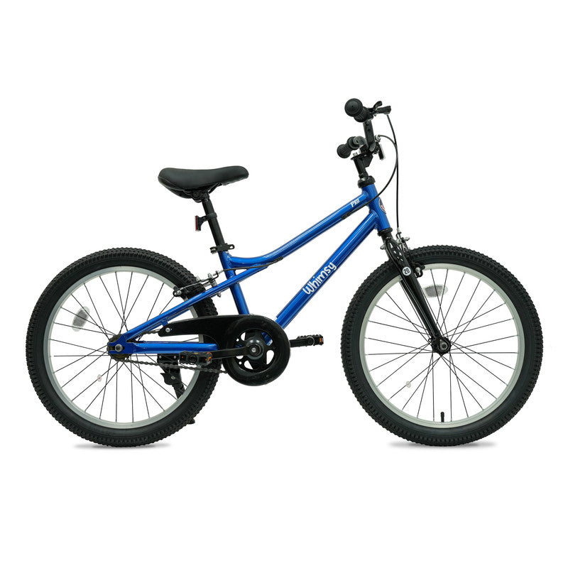 Whimsy - Pro Aluminum 20" Kids Bike