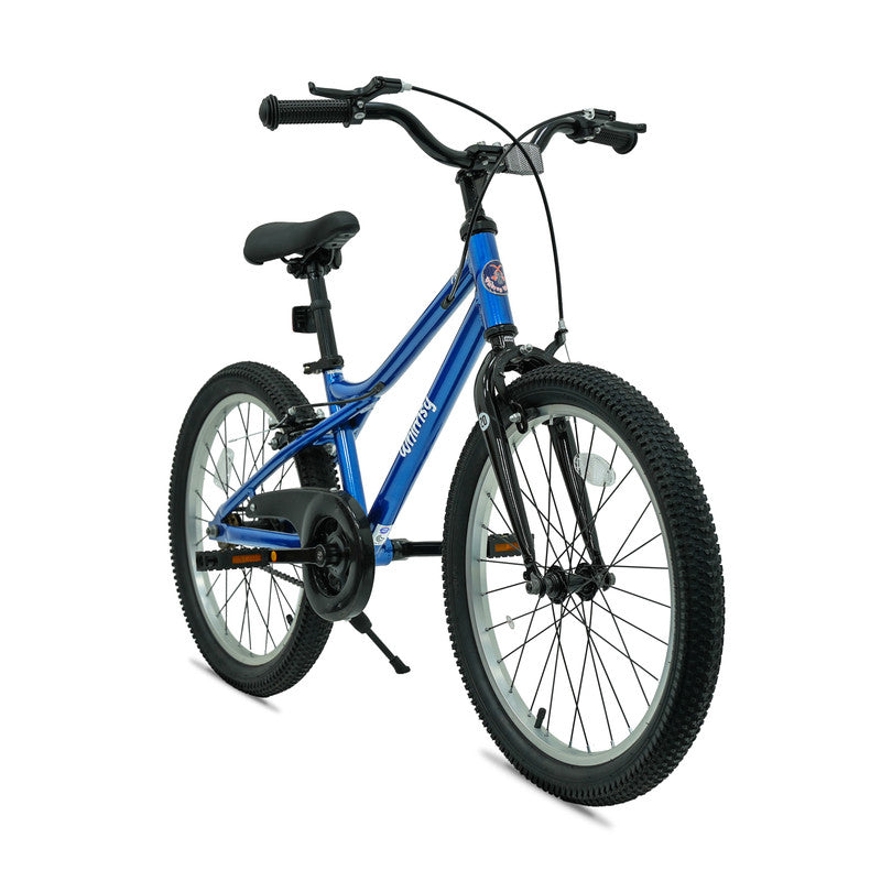 Whimsy - Pro Aluminum 20" Kids Bike