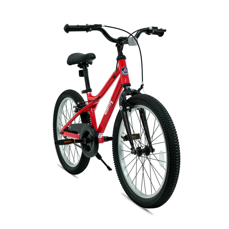 Whimsy - Pro Aluminum 20" Kids Bike