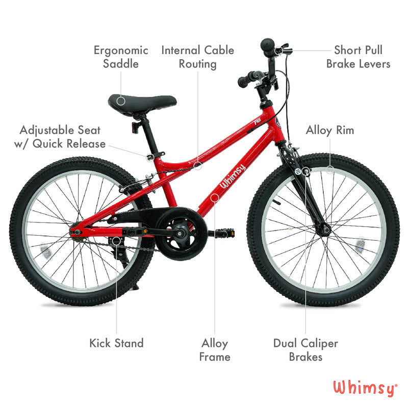 Whimsy - Pro Aluminum 20" Kids Bike