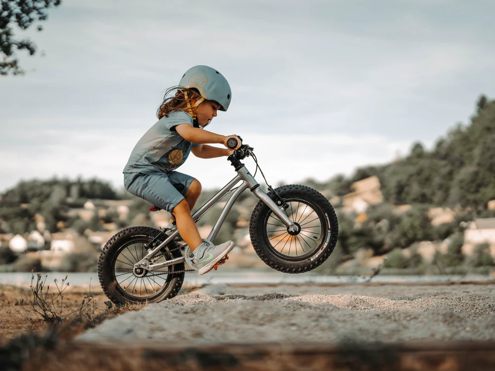 Early Rider Seeker 14" Kids Bike