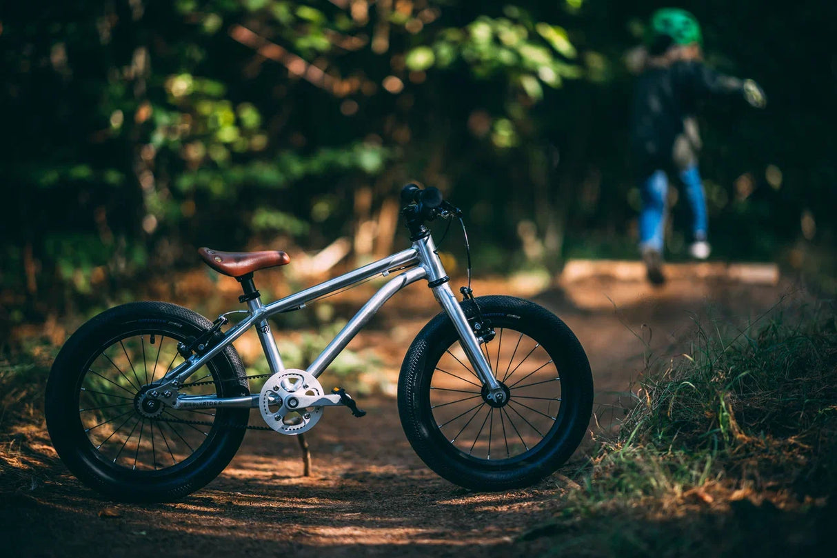 Early Rider Seeker 14" Kids Bike