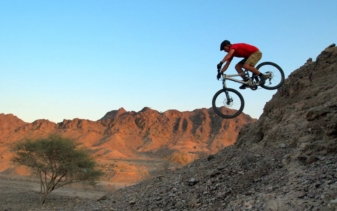 12 Amazing Benefits of Mountain Biking: Boost Fitness, Mental Health & More