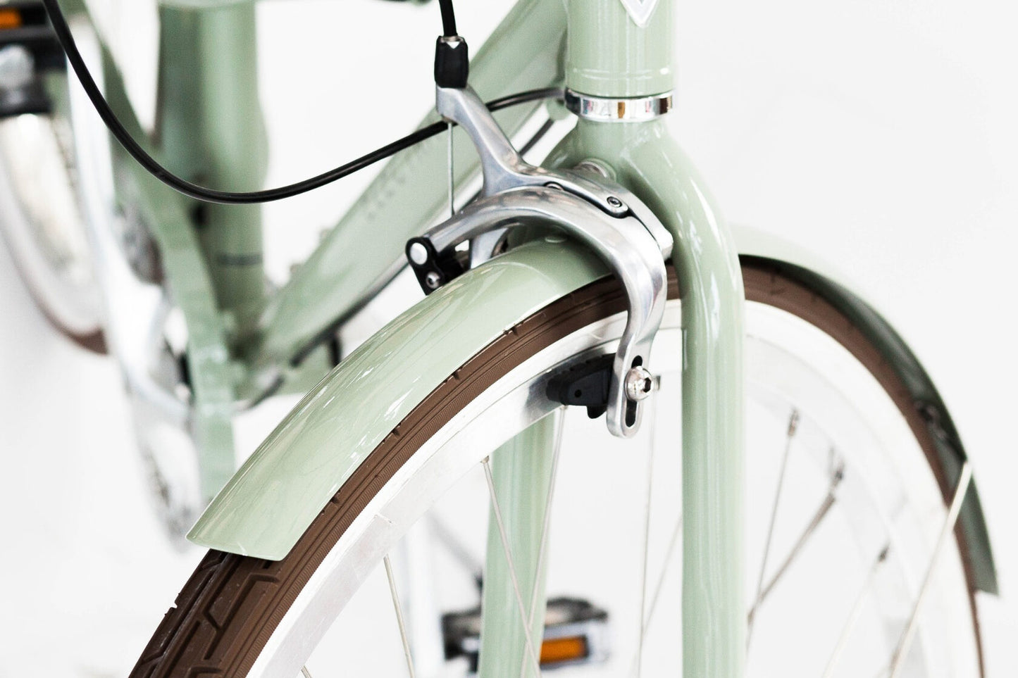 Close-up of a light green bicycle with brown tires on a white background