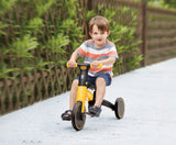 Hape Transforming Rider Bike