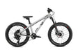 Early Rider Charger 20" Kids Bike in Brushed