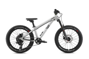 Early Rider Charger 20" Kids Bike in Brushed