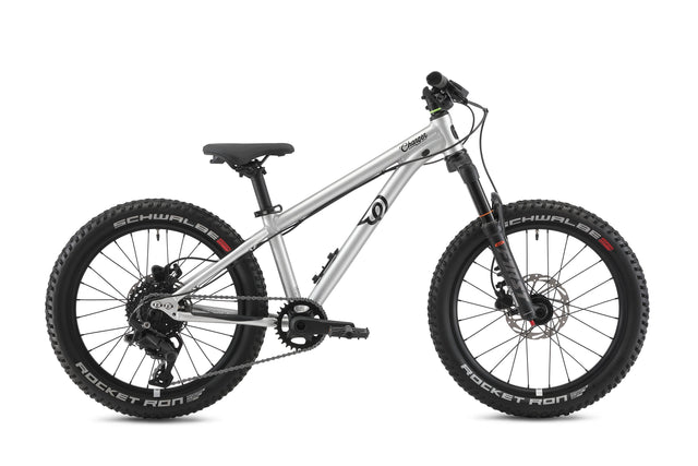 Early Rider Charger 20" Kids Bike in Brushed