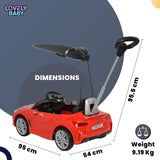 BMW Z4 Roadster Ride-On Car with Push Handle