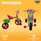 Lovely Baby Plug & Play Trike with Rear Basket