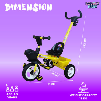 Lovely Baby Kids' First Trike for Kids
