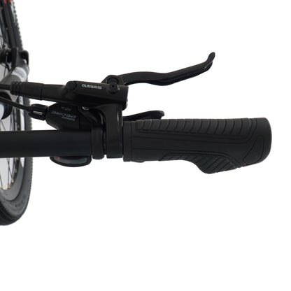 Hasa Gallop 1.0 29" Mountain Bike