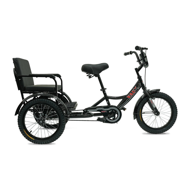Lovely Baby Classic Sofa Tricycle