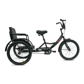 Lovely Baby Classic Sofa Tricycle