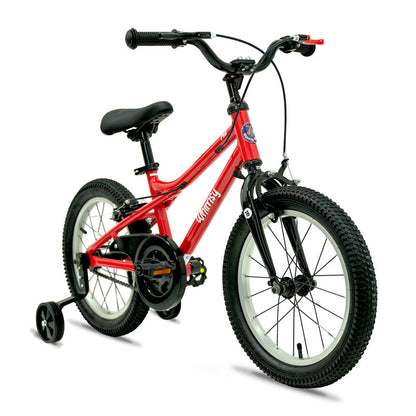 Whimsy - Pro Aluminum 16" Kids Bike