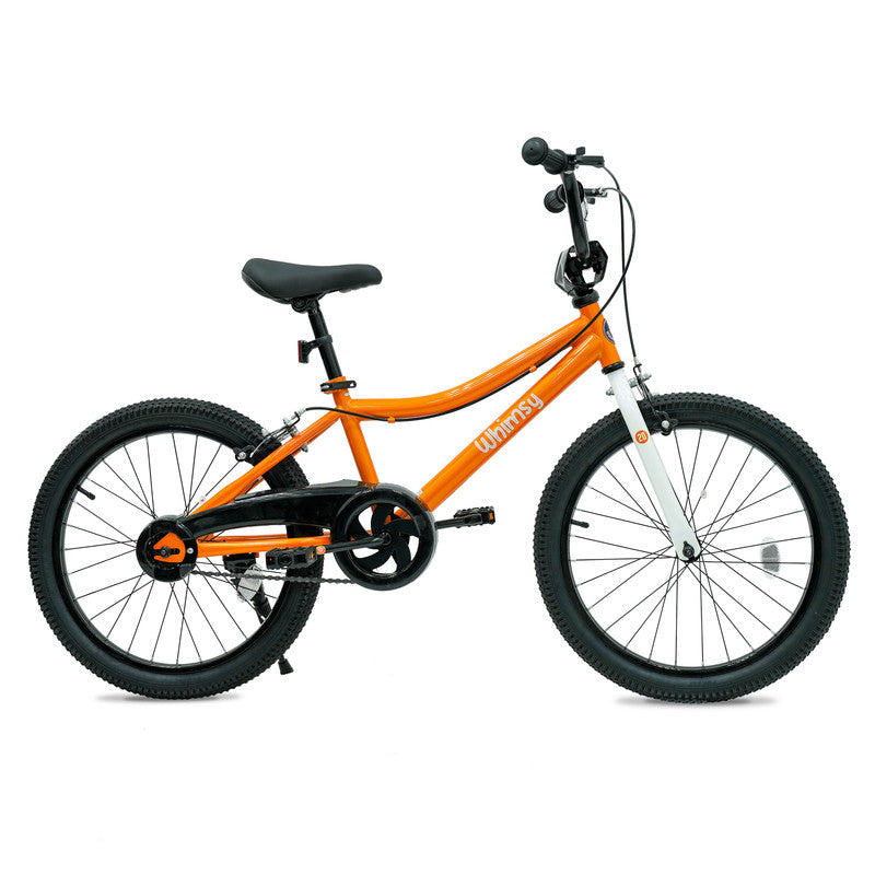Whimsy - Classic 20" Kids Bike