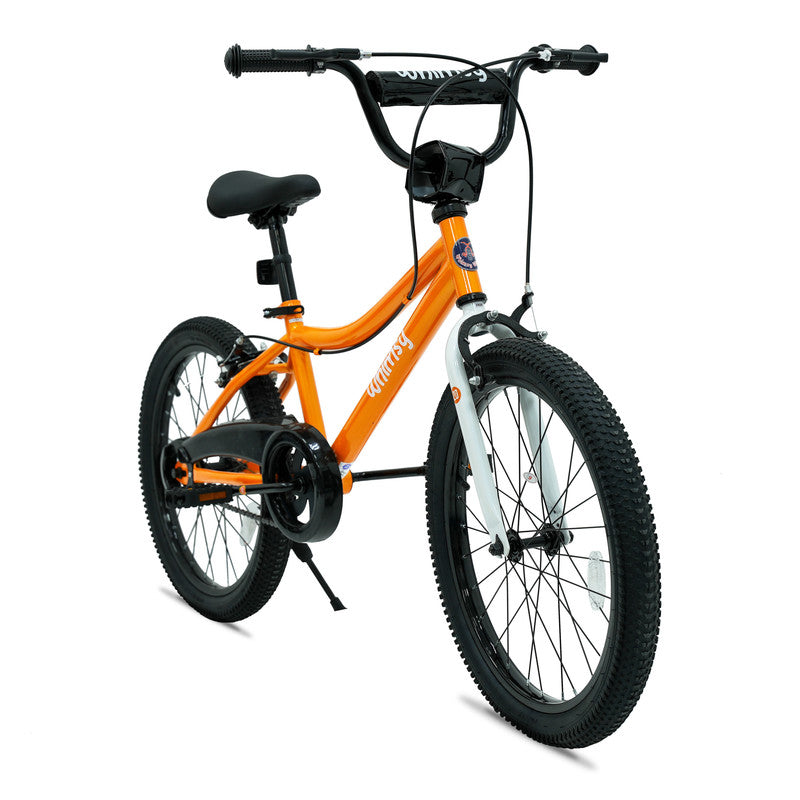 Whimsy - Classic 20" Kids Bike