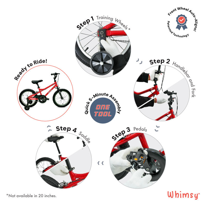 Whimsy - Pro Aluminum 20" Kids Bike