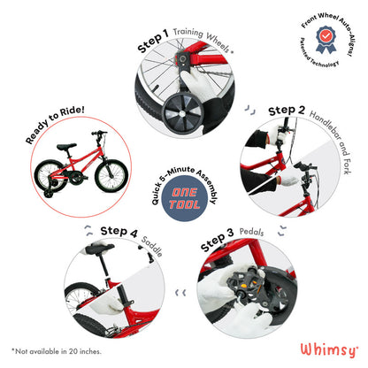 Whimsy - Pro Aluminum 20" Kids Bike