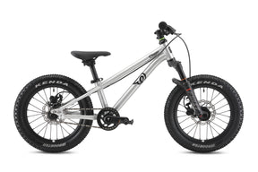 Early Rider Charger 16" Kids Bike in Brushed